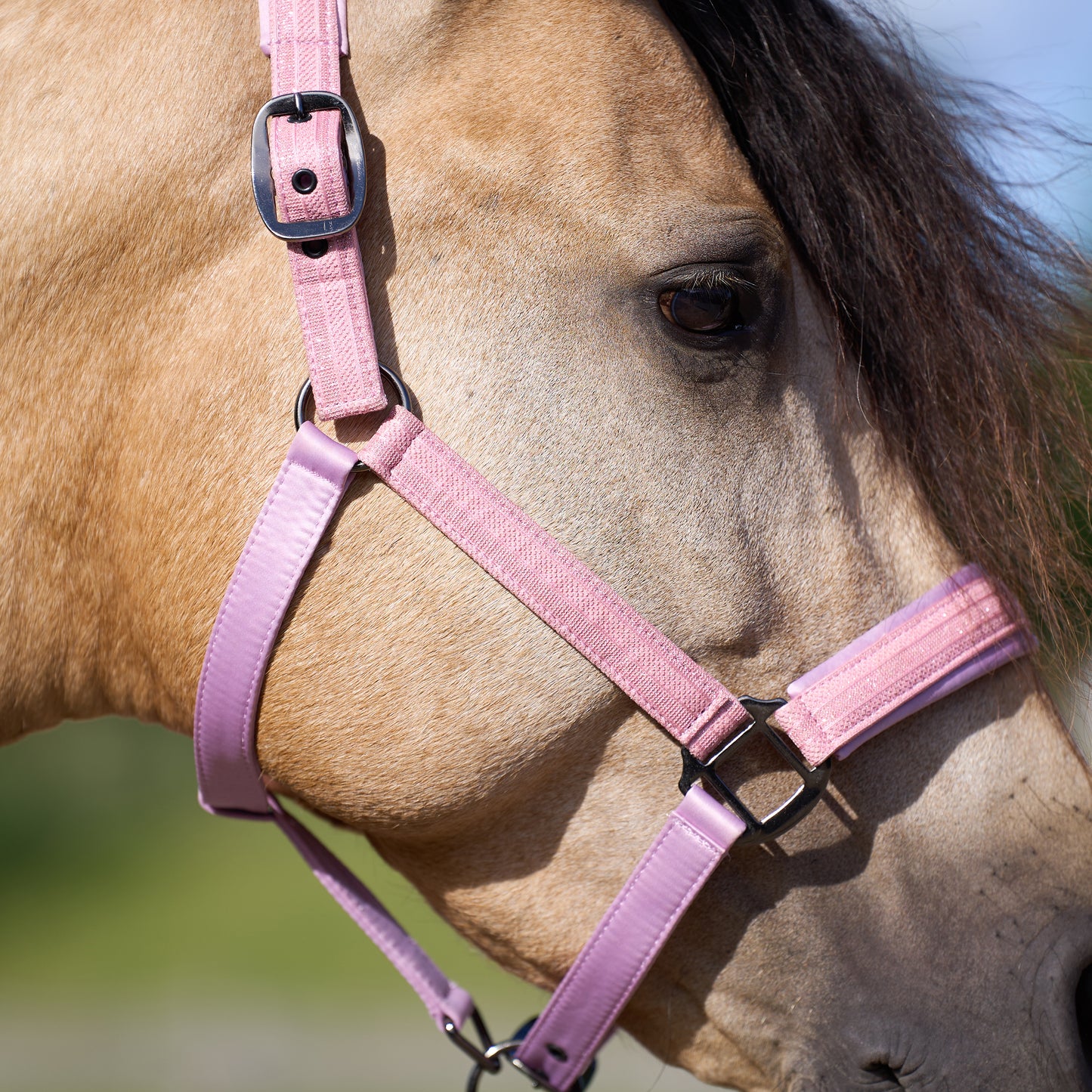 Imperial Riding Headcollar Sparkle, glittrande grimma i nylon