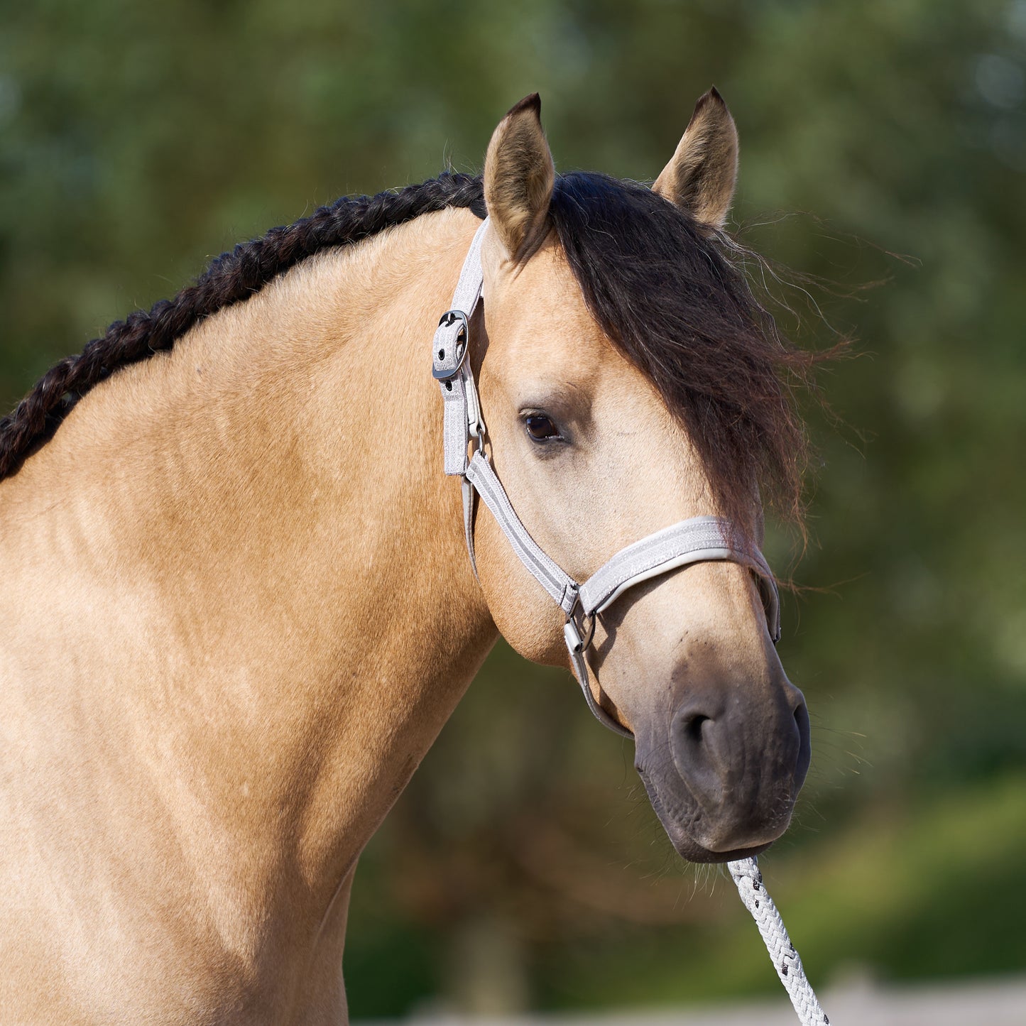 Imperial Riding Headcollar Sparkle, glittrande grimma i nylon