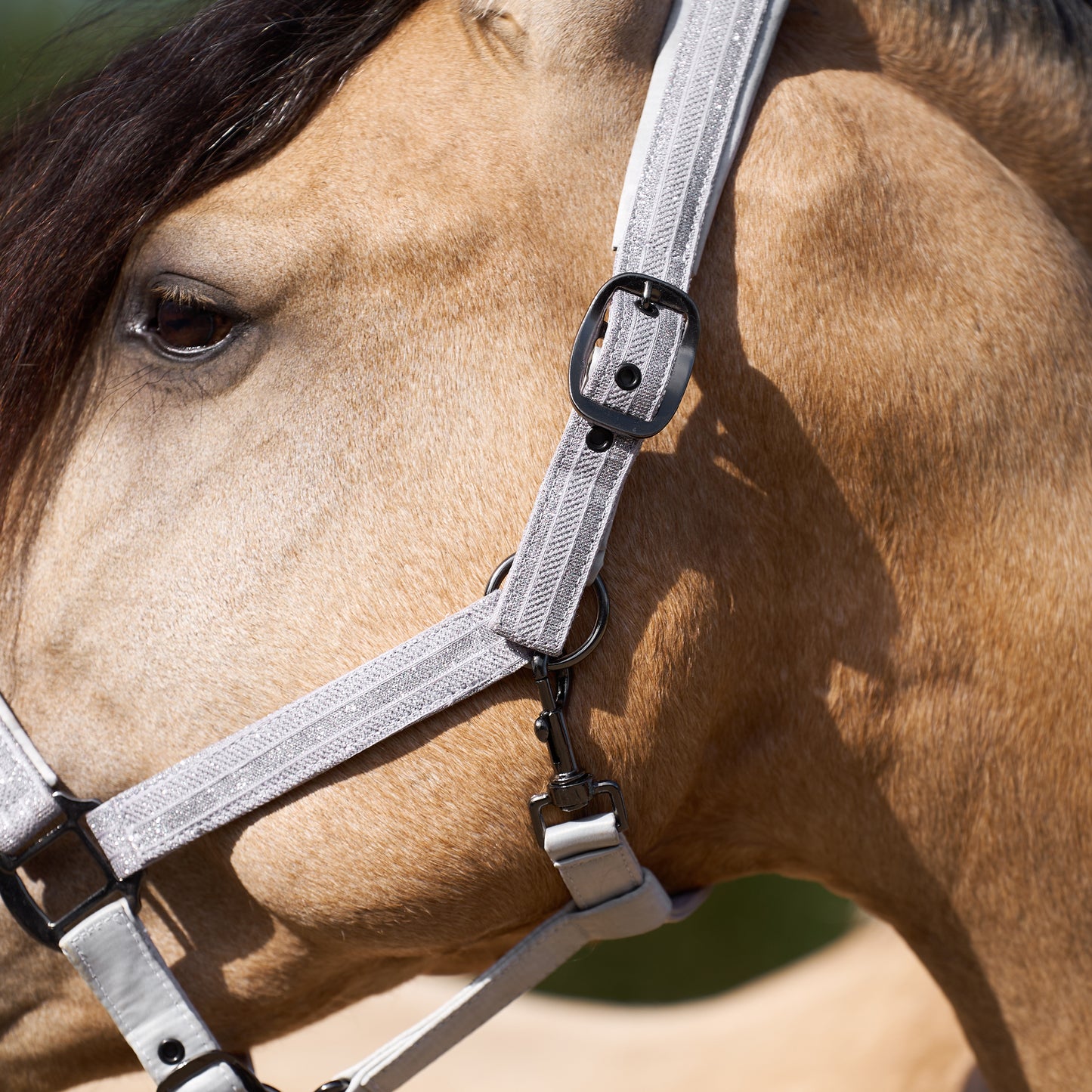 Imperial Riding Headcollar Sparkle, glittrande grimma i nylon