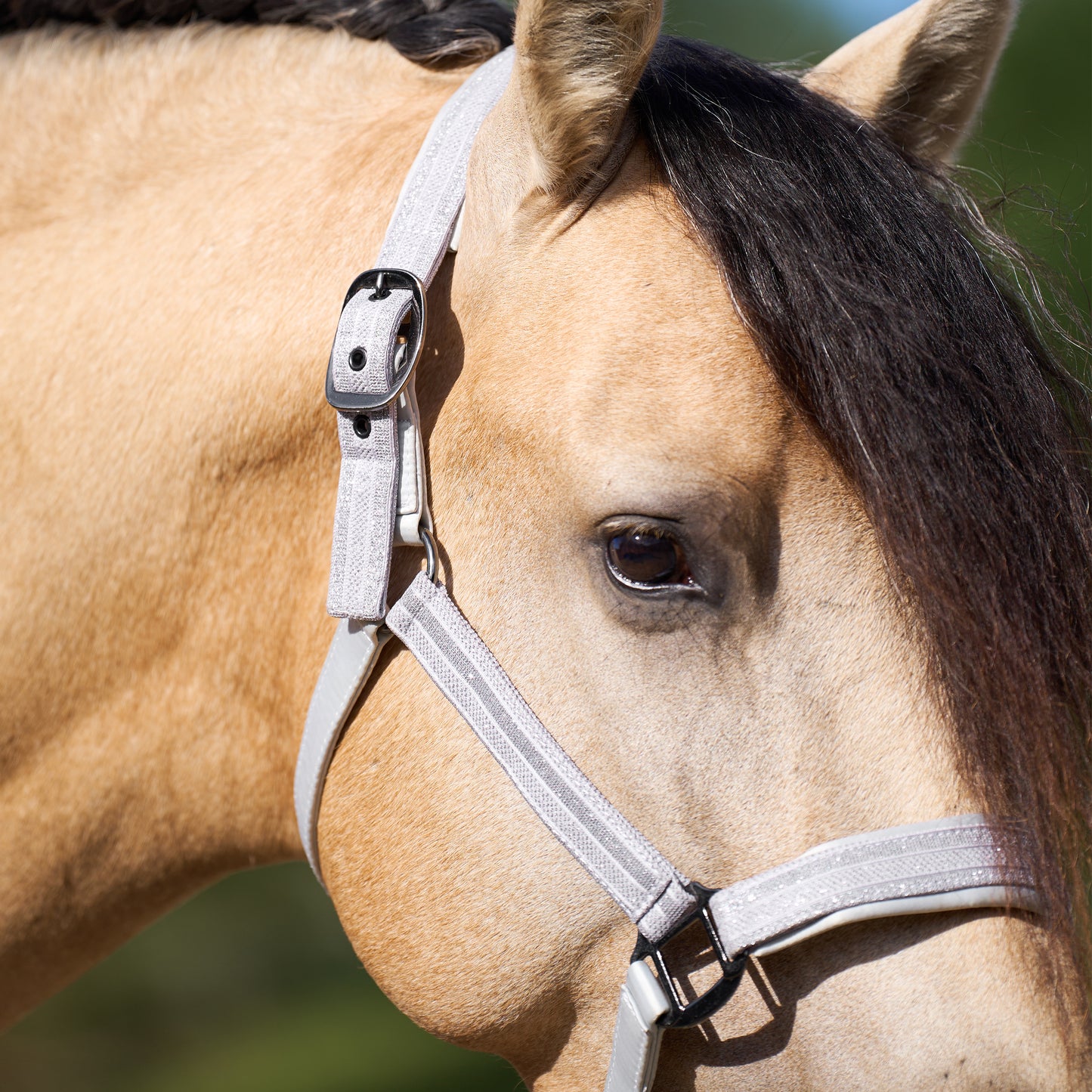 Imperial Riding Headcollar Sparkle, glittrande grimma i nylon