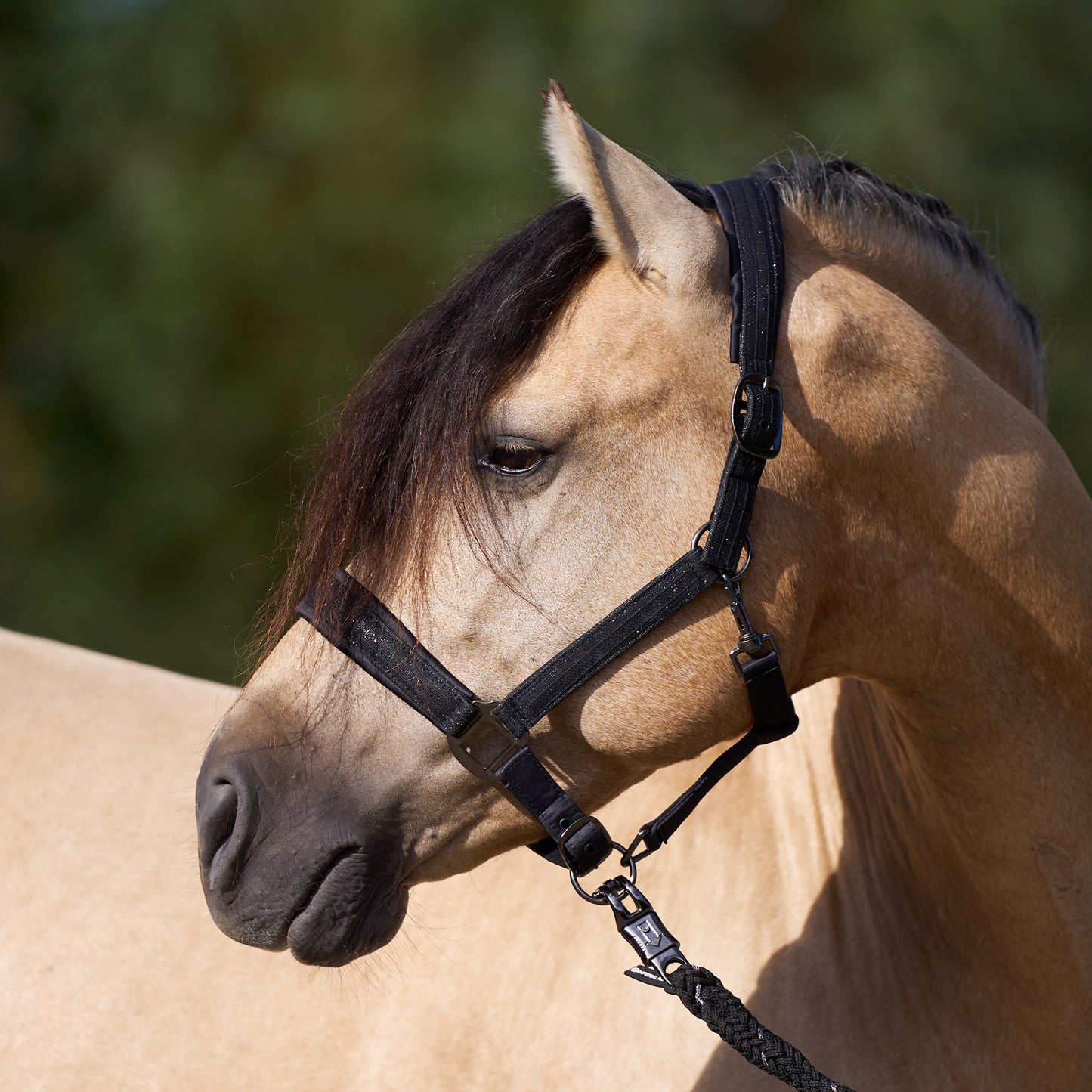 Imperial Riding Headcollar Sparkle, glittrande grimma i nylon