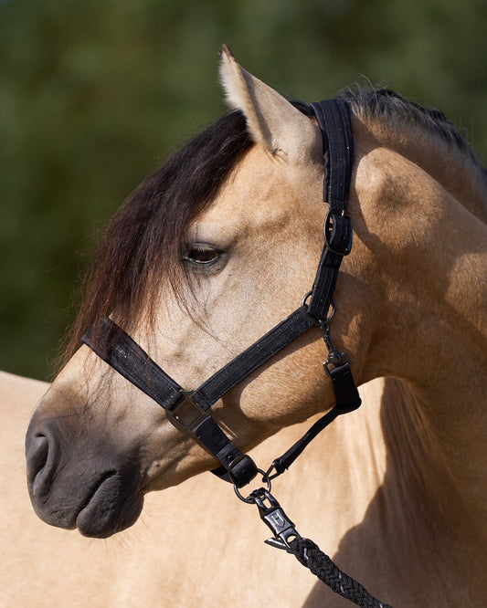 Headcollar Sparkle, glittrande grimma i nylon