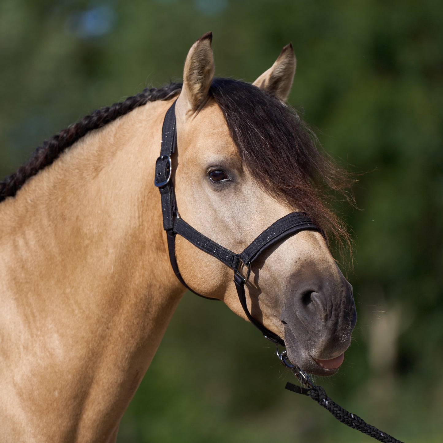 Imperial Riding Headcollar Sparkle, glittrande grimma i nylon