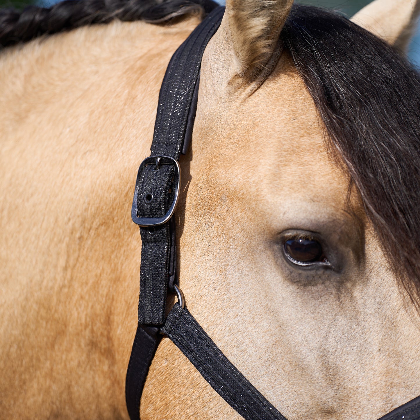 Imperial Riding Headcollar Sparkle, glittrande grimma i nylon