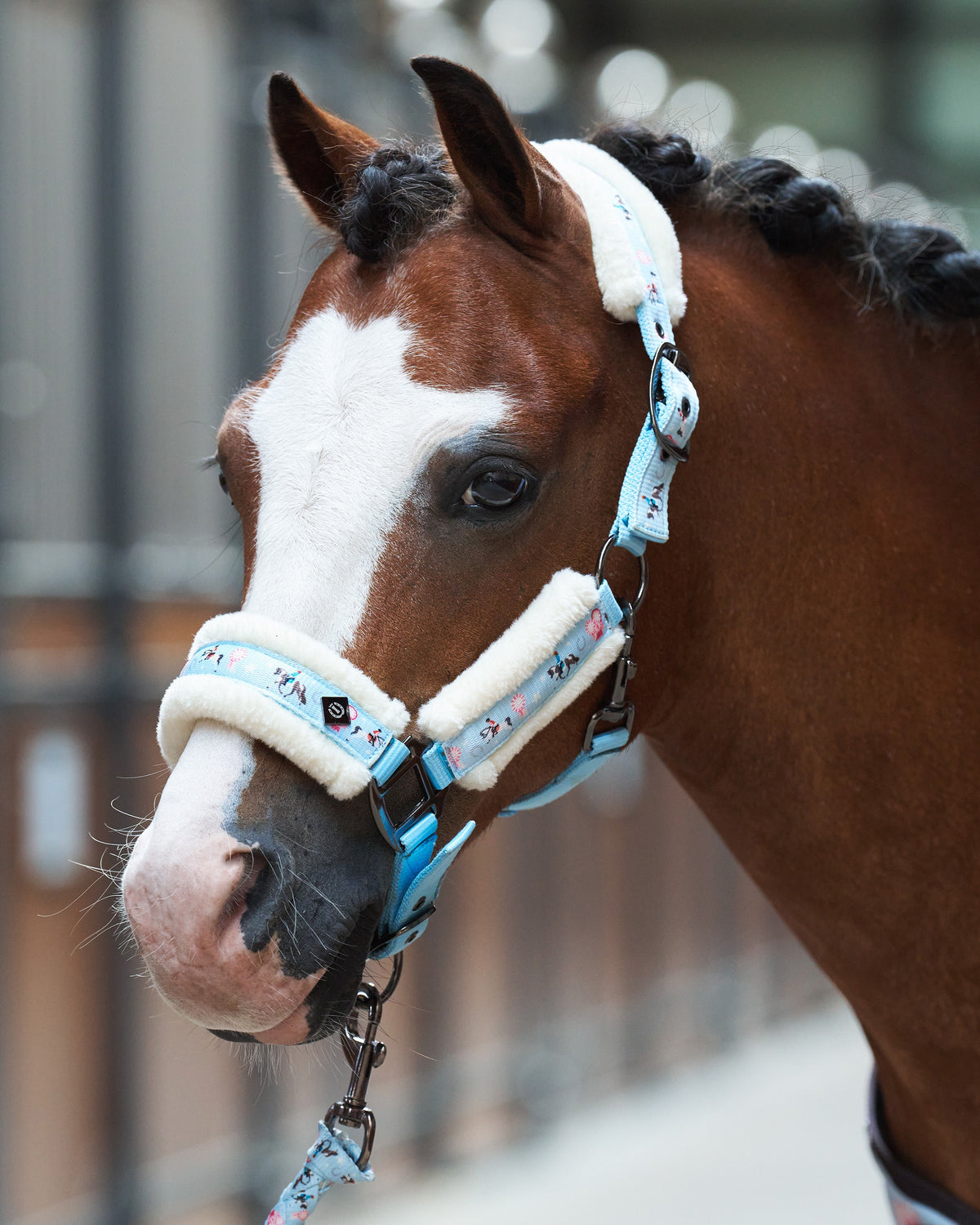 Headcollar Little Champion, grimma shettis/ponny