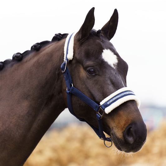 Headcollar Jewel, vadderad grimma i nylon