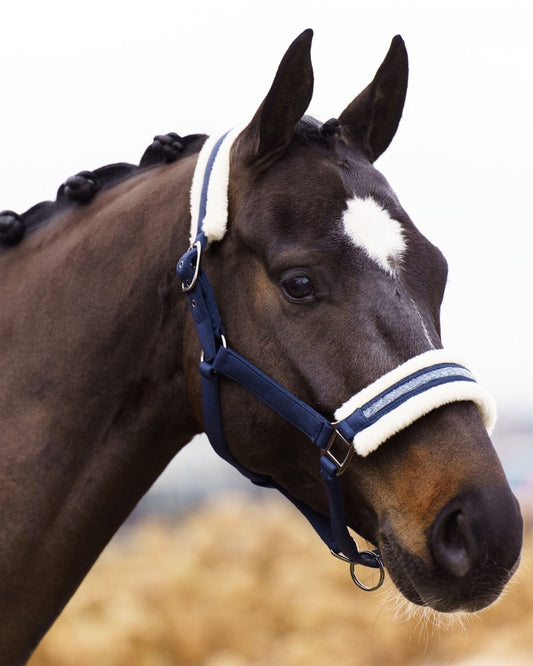 Headcollar Jewel, vadderad grimma i nylon