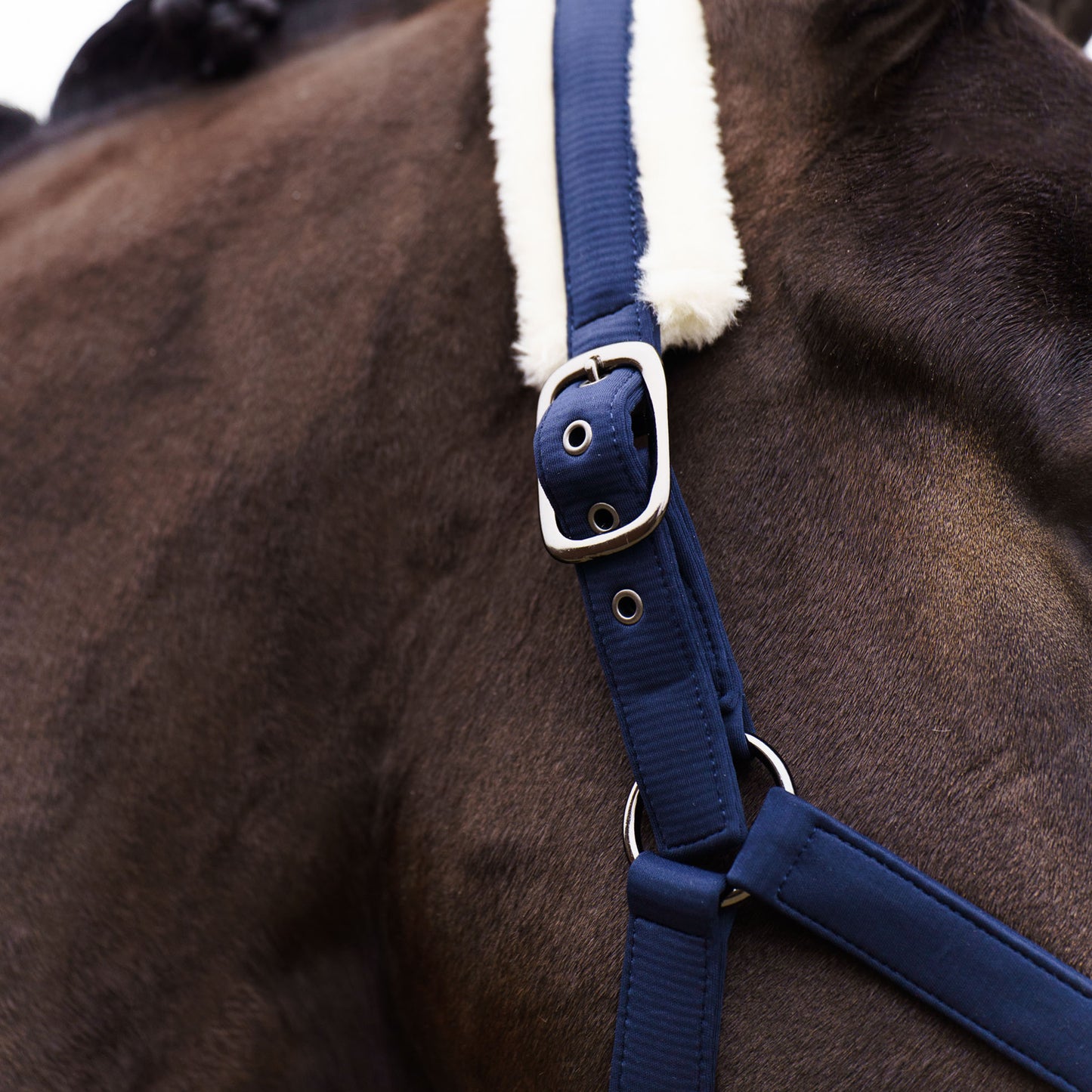Headcollar Jewel, vadderad grimma i nylon