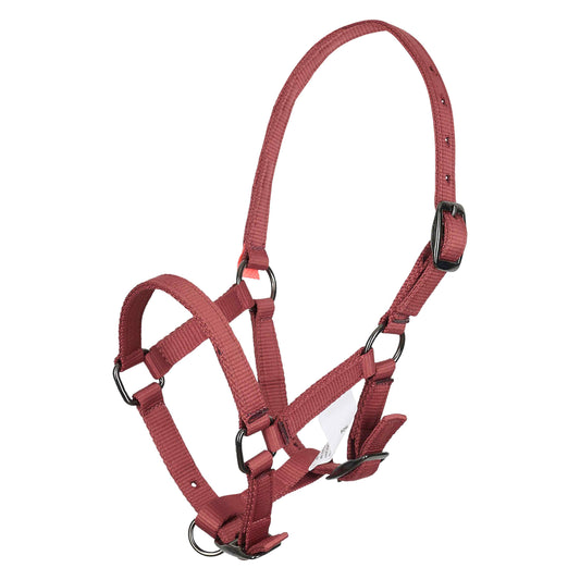 Nylon Foal Halter, fölgrimma i nylon
