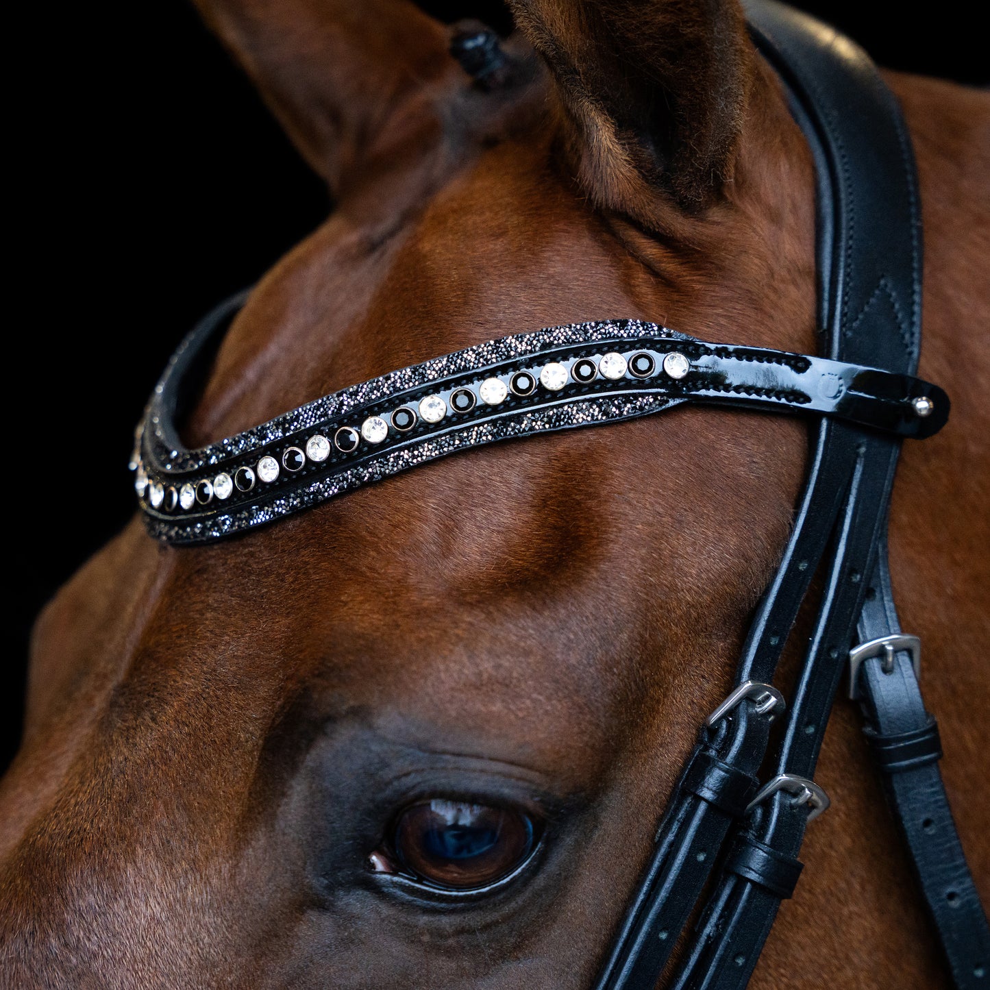Browband Maxima, läderpannband med Rhinestones