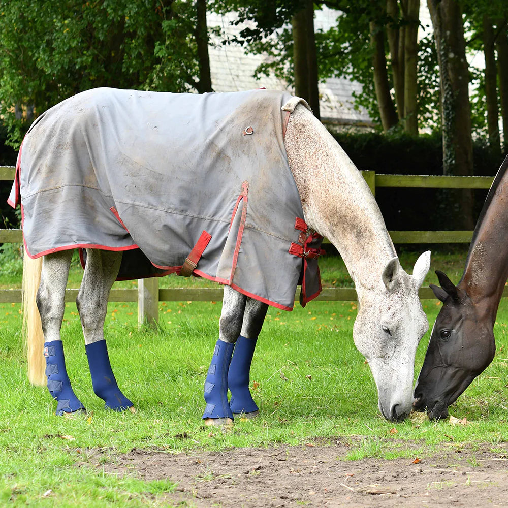 Equi-Chaps Hardy Chaps, skydd för hagen