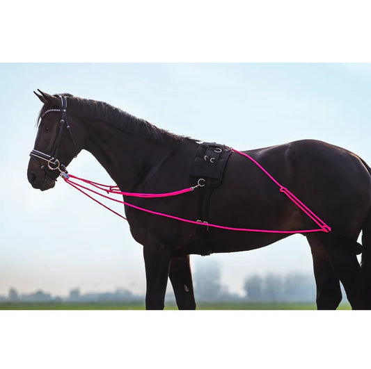 Lunging/Training Rein Good Will, longertygel