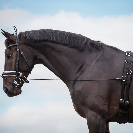 Bungie Training Reins, elastiska halsförlängare