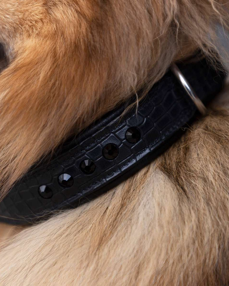 Dog Collar Croco Florida, hundhalsband i läder
