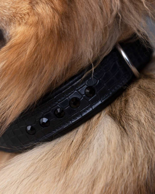 Dog Collar Croco Florida, hundhalsband i läder