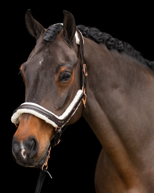 Headcollar Luxury, lädergrimma med vaddering