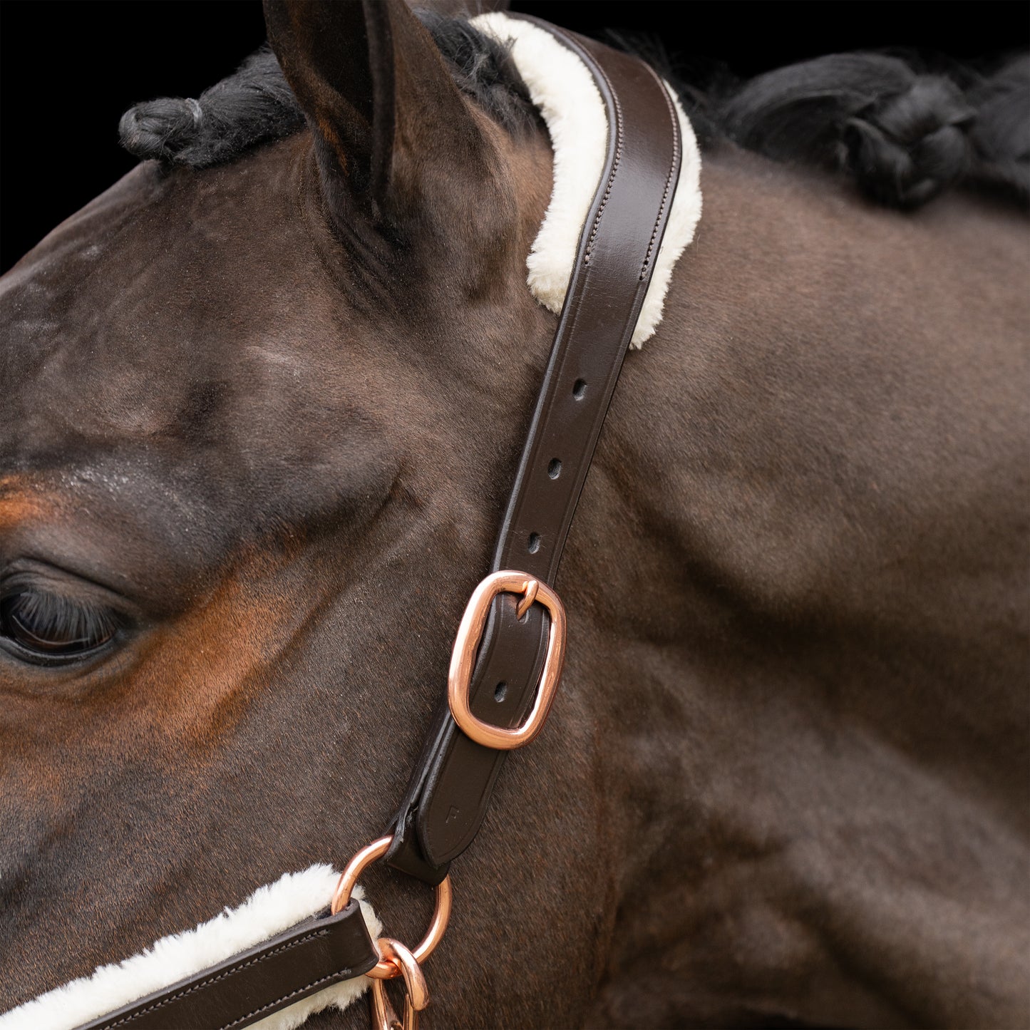 Headcollar Luxury, lädergrimma med vaddering