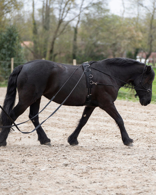 Double Lunging Rein Free Ride, dubbel longerlina