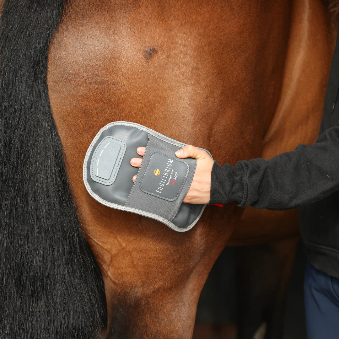 Equilibrium Massage Mitt Hotspot, massagehandske med värme för dig och din häst