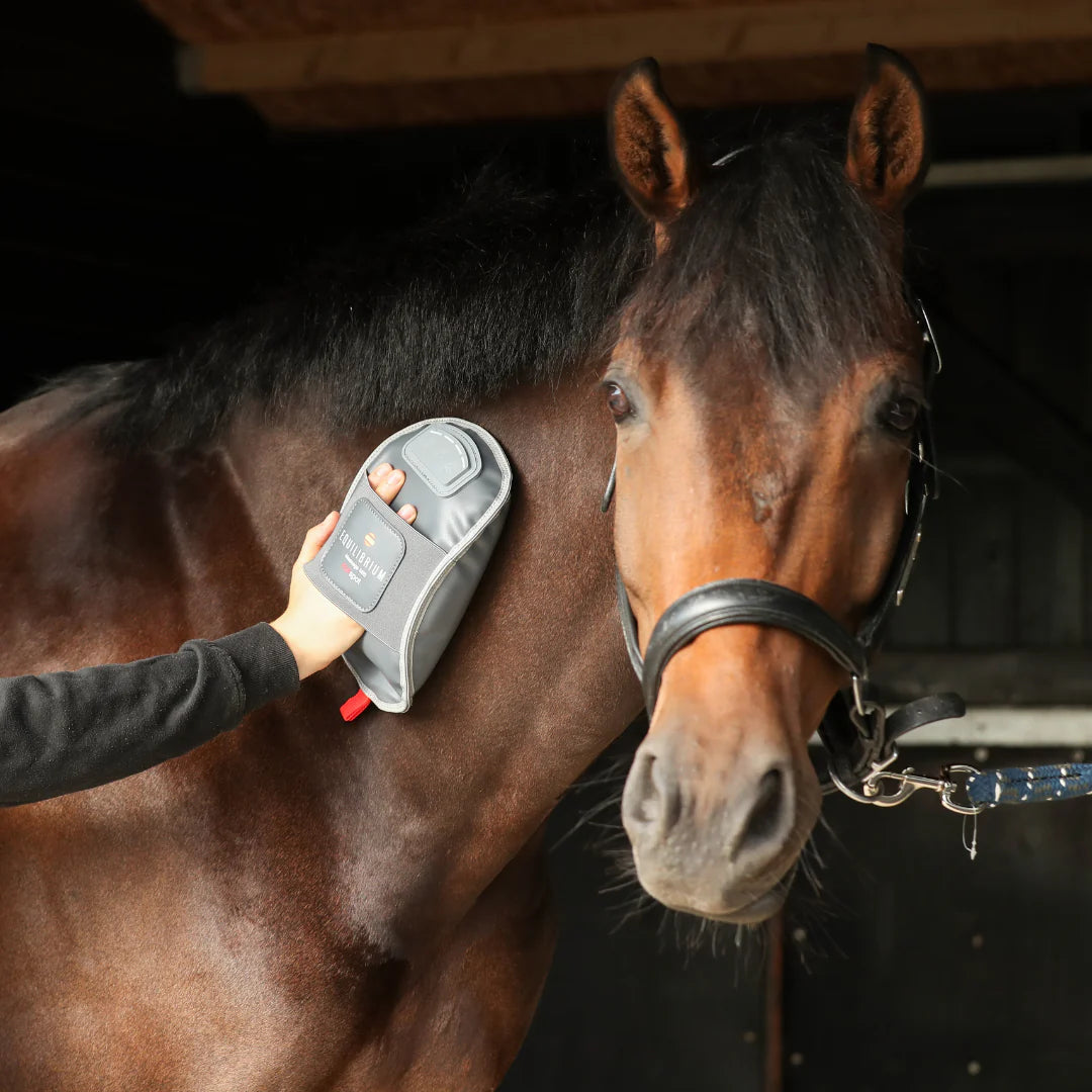 Equilibrium Massage Mitt Hotspot, massagehandske med värme för dig och din häst