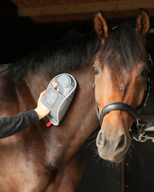 Equilibrium Massage Mitt Hotspot, massagehandske med värme för dig och din häst