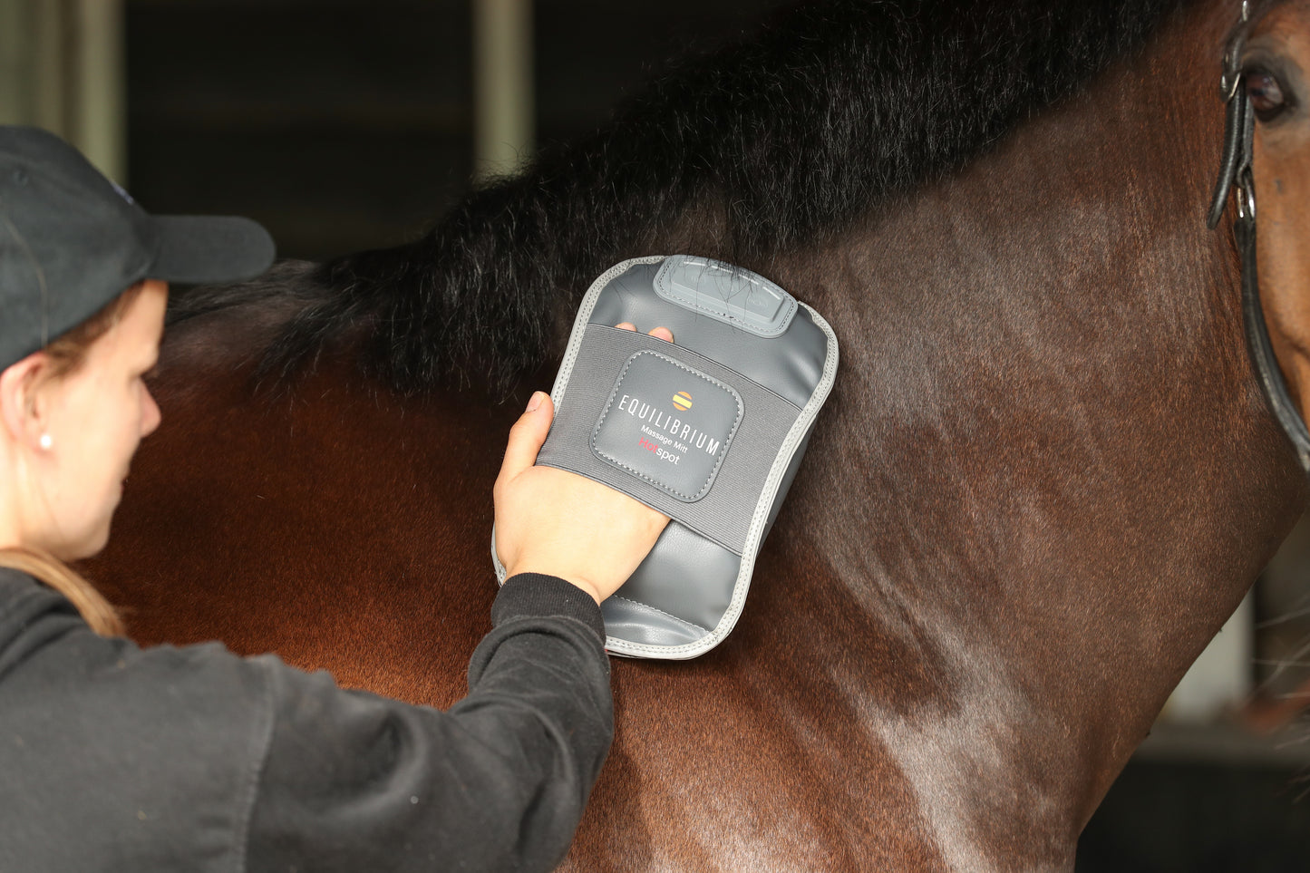 Equilibrium Massage Mitt Hotspot, massagehandske med värme för dig och din häst