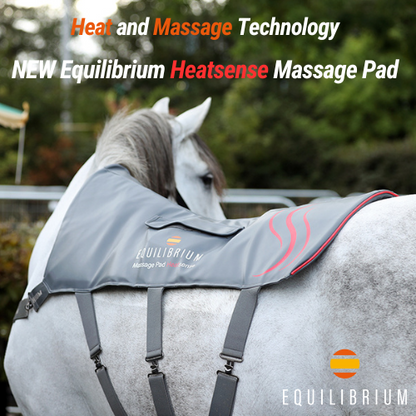 Equilibrium Massage Pad Heatsense, massagepad med värme