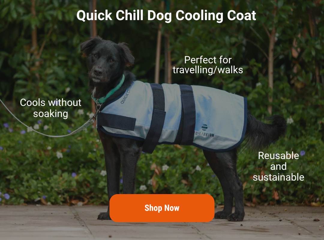 Quick Chill Cooling Coat for Dogs, kyltäcke som svalkar din hund!