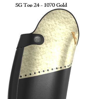 SG Top 24