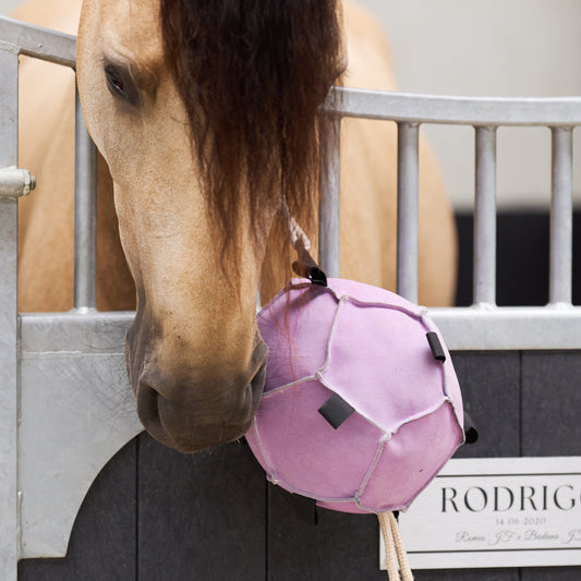 Horse Ball Volley up, mjuk hästleksak boll