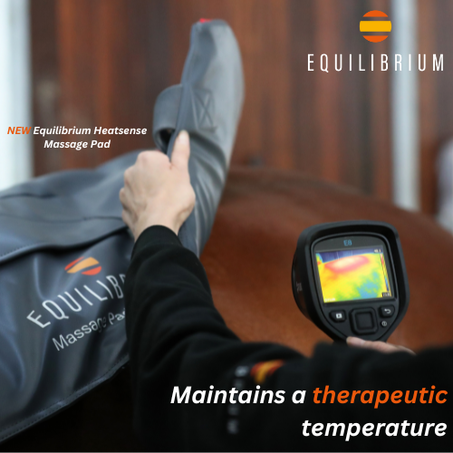 Equilibrium Massage Pad Heatsense, massagepad med värme