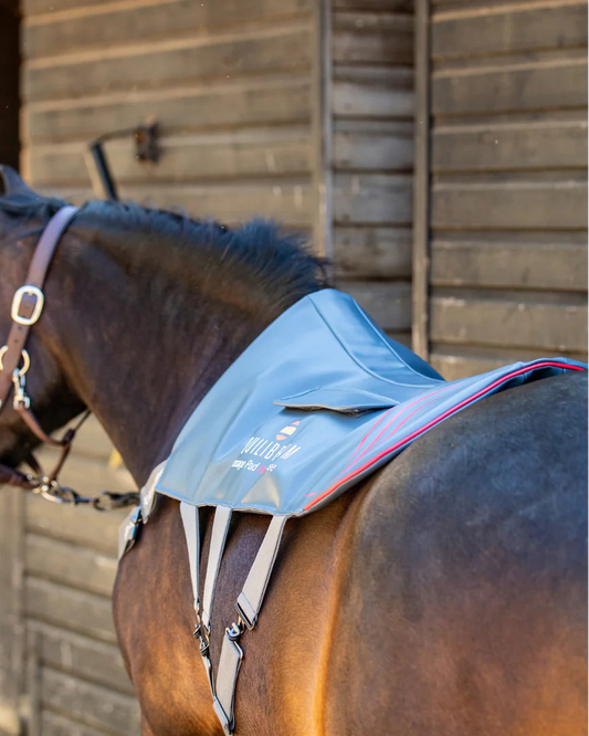 Equilibrium Massage Pad Heatsense, massagepad med värme