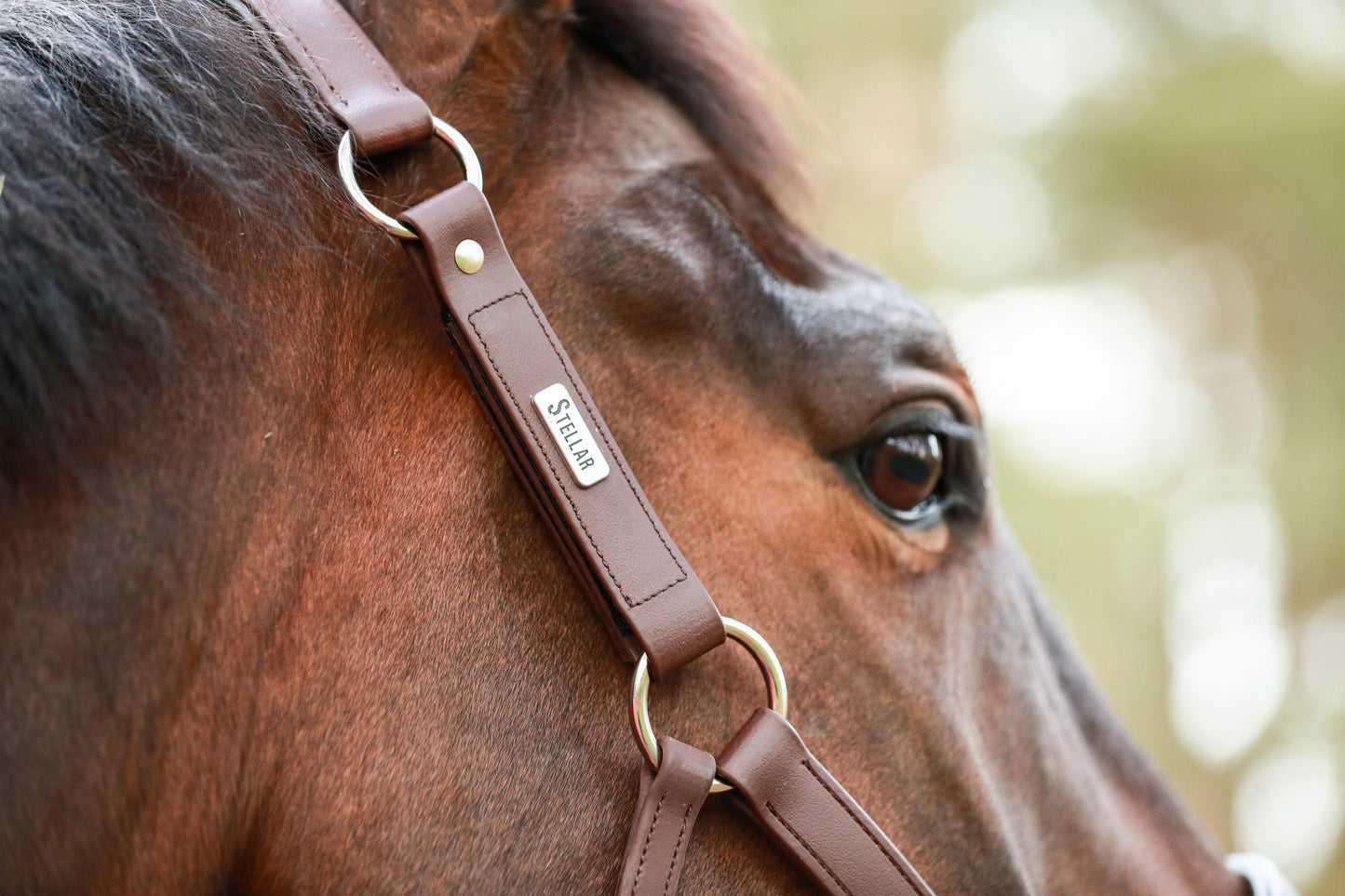 Stellar All Weather Headcollar, återanvändbar säkerhetsgrimma, flera färger
