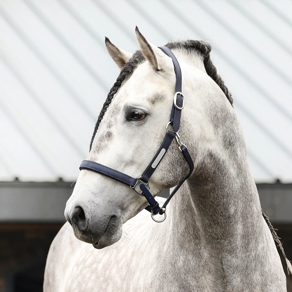 Stellar All Weather Headcollar, återanvändbar säkerhetsgrimma, flera färger