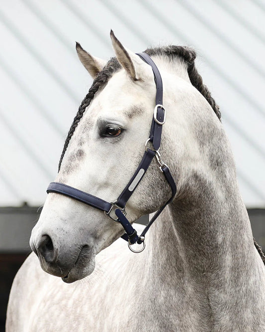 Stellar All Weather Headcollar, återanvändbar säkerhetsgrimma
