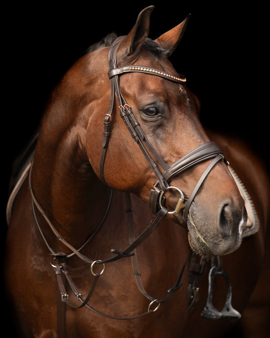 Martingale Core, justerbar läder martingal