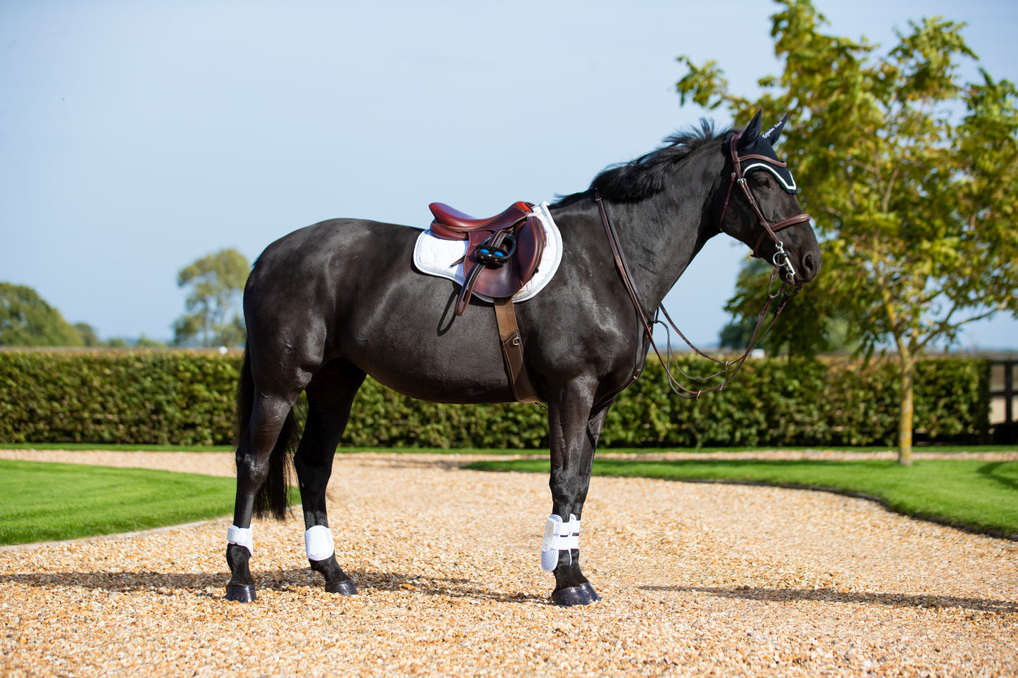 Tri-Zone Fetlock Boots, lätta bakbensskydd
