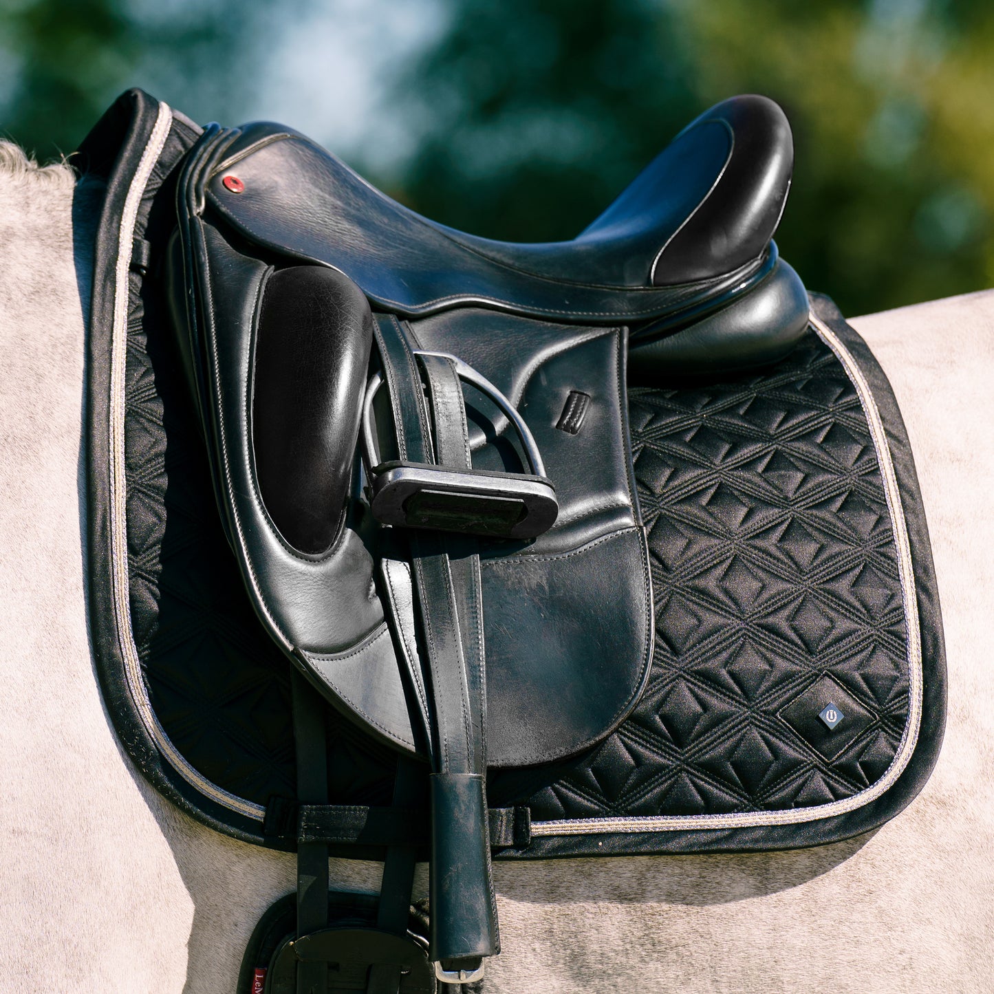Saddlepad Lenny DR, blankt dressyrschabrak