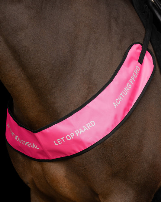Breast Plate Reflective, reflekterande brösta