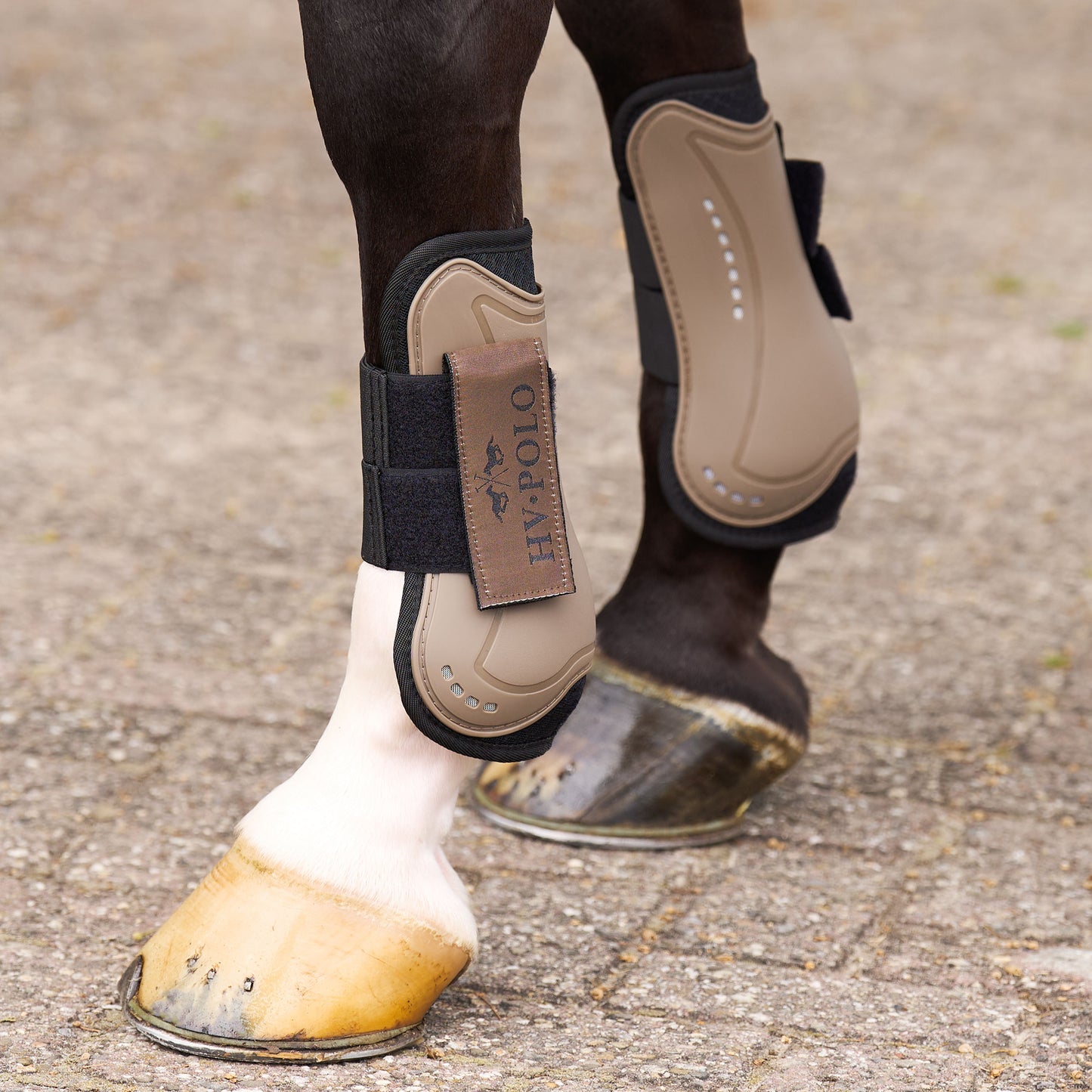 Tendon and Fetlock Bootset Classic, set med benskydd, flera färger