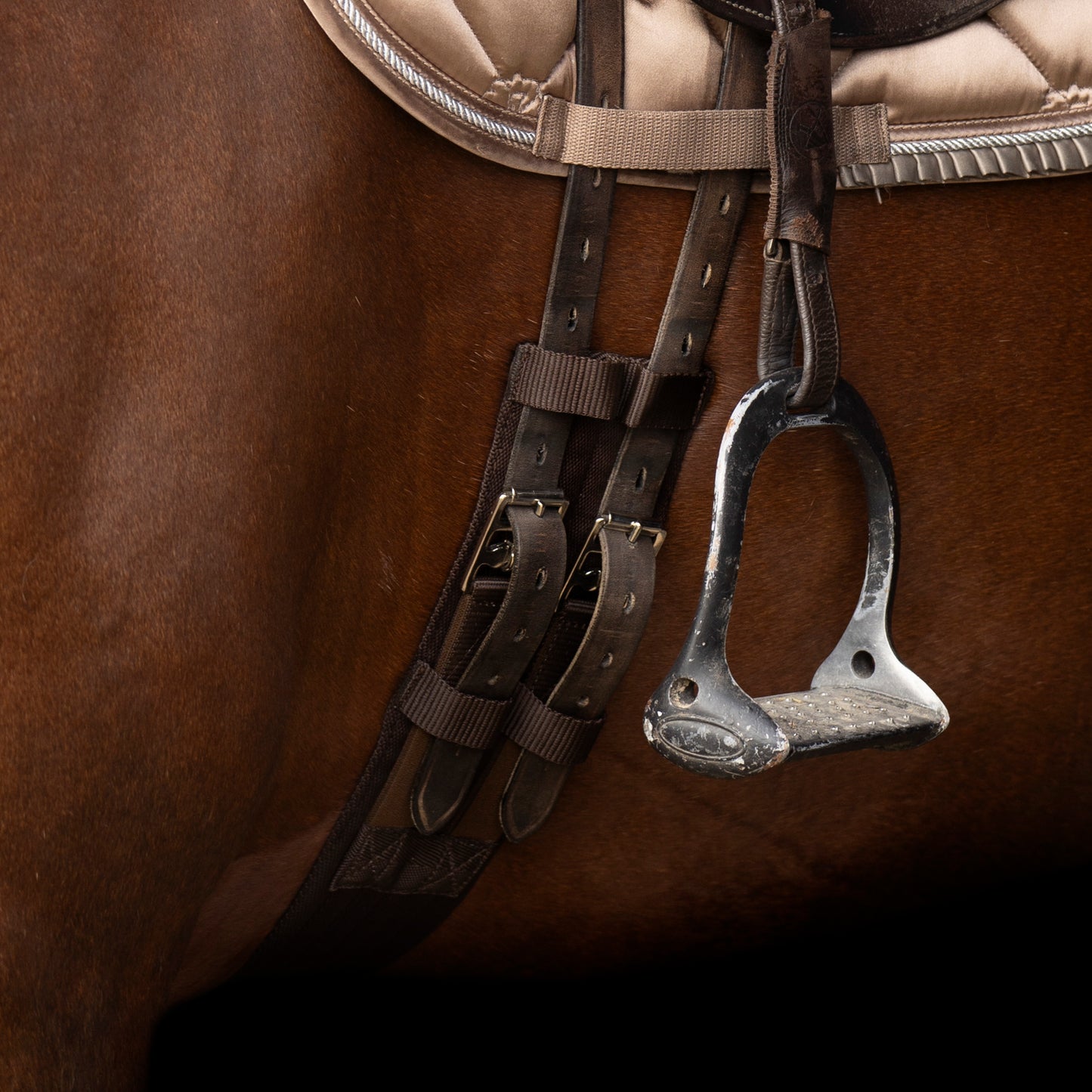 Dressage Girth Core, sadelgjord dressyr textil
