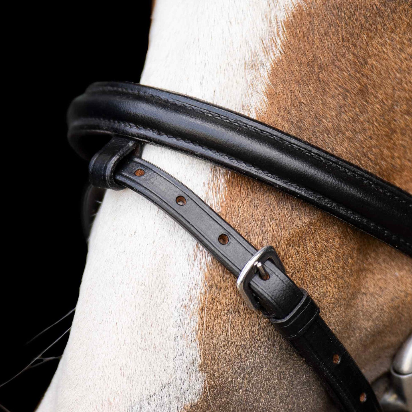 Shetty Bridle Stormy, träns minishettis/shettis