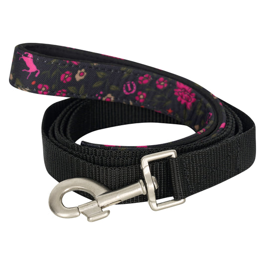 Dog leash Ambient, slitstarkt hundkoppel, flera färger