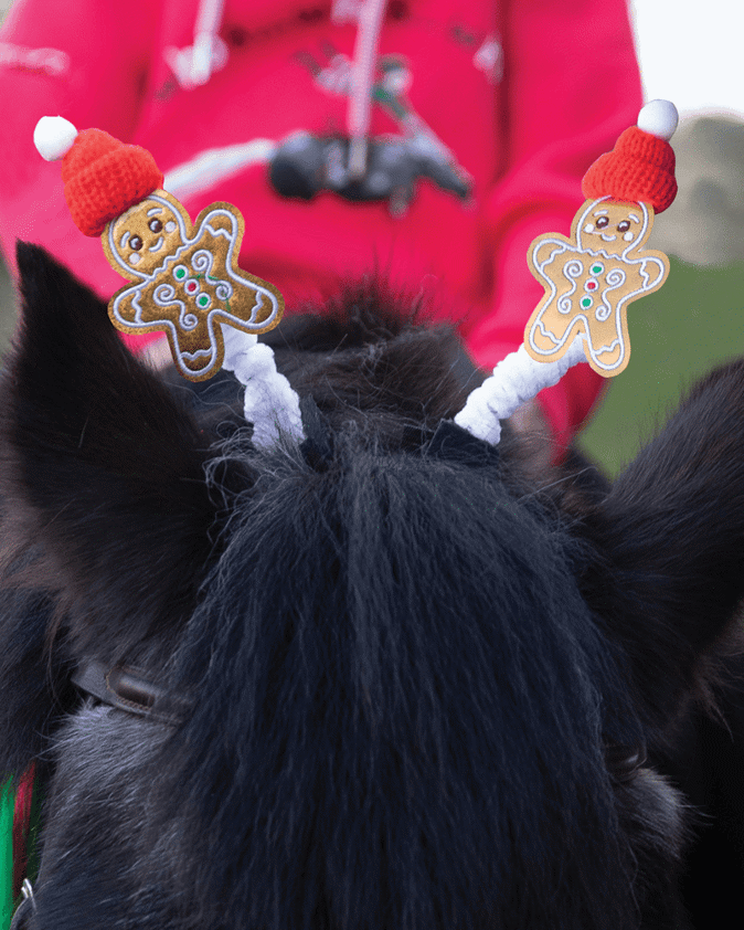 Gingerbread Man Bridle Boppers, pepparkake bobbers för träns