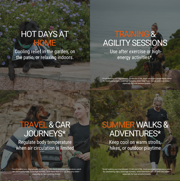 Quick Chill Cooling Coat for Dogs, kyltäcke som svalkar din hund!