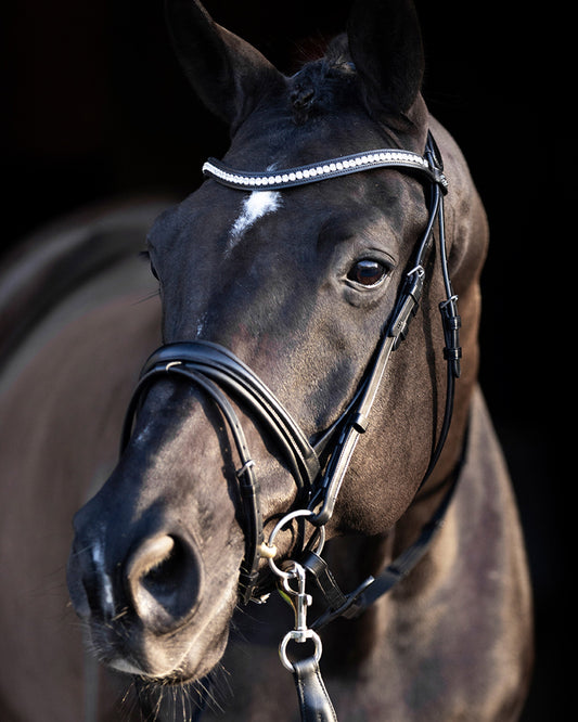 Bridle Legacy Deluxe, träns med strass