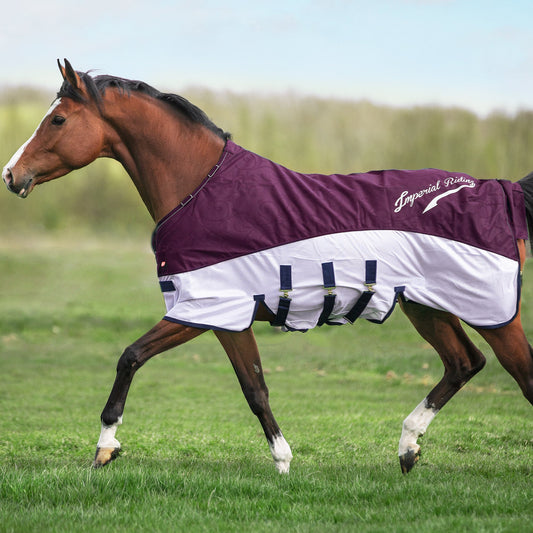 Rain&Fly Blanket Super-Dry, regn/flugtäcke två-i-ett