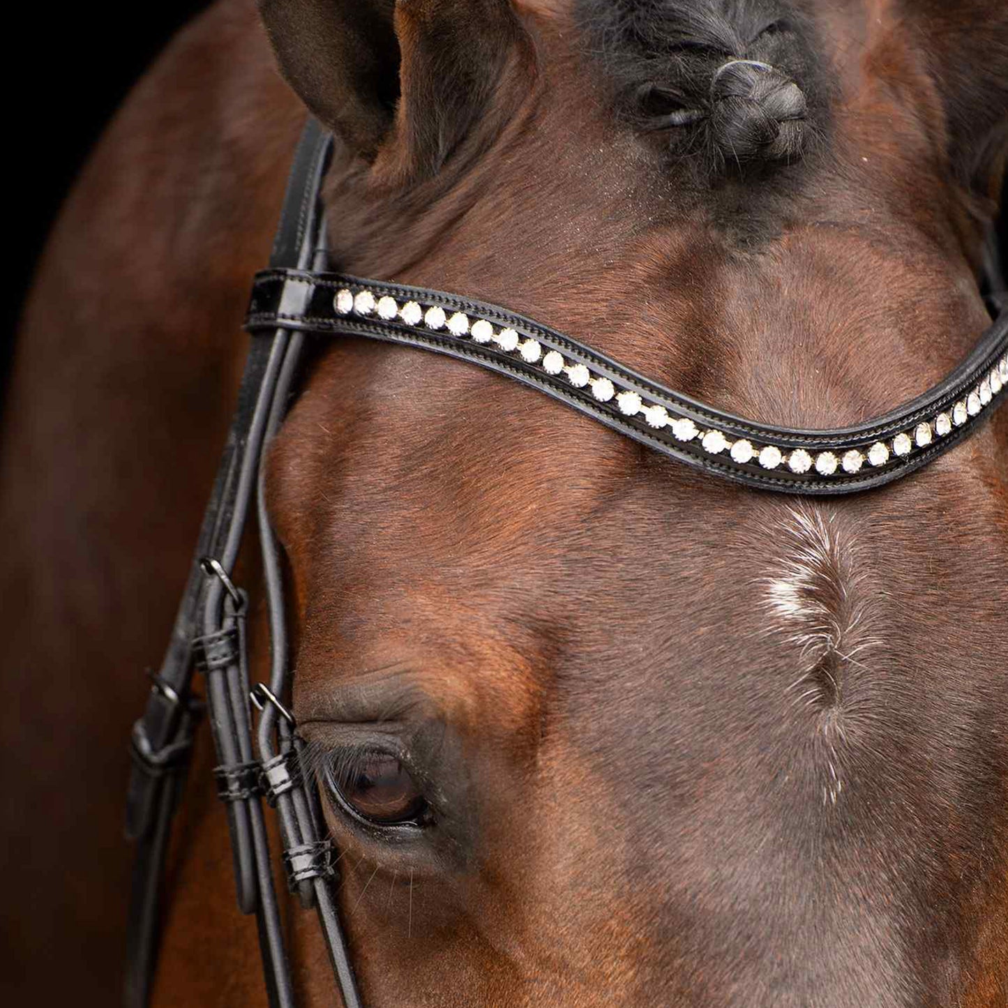 Bridle Athena, elegant träns med strass