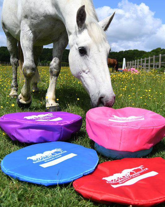 Equilibrium vadderat isolerat överdrag foderhink foderskål vinter is skydd