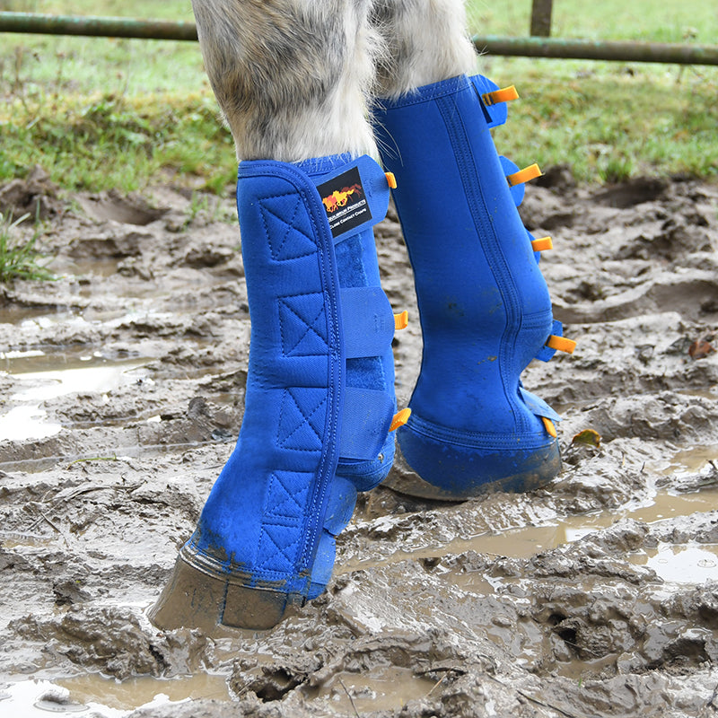 Equilibrium Close Contact Chaps skydda kota och hov perforerat neopren stretch förhindra mugg boots häst hage